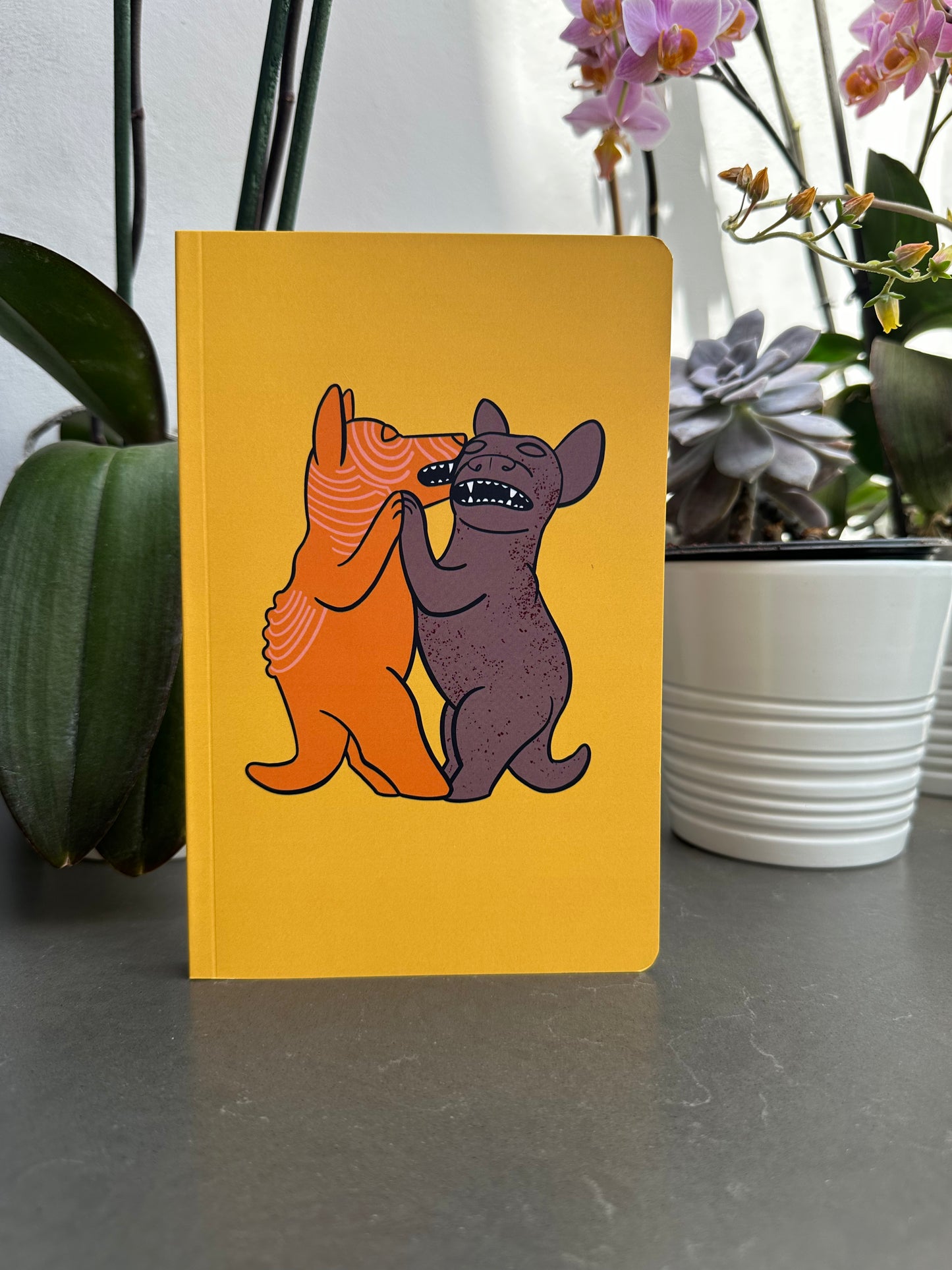 Libreta Colimotes